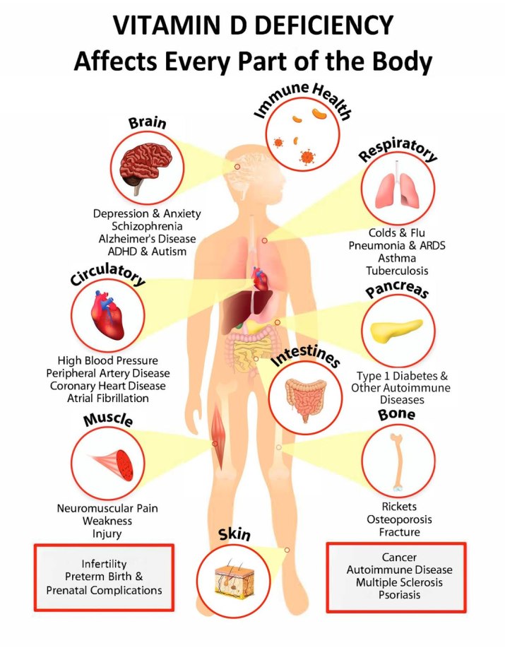 EPIDEMIC: VITAMIN D DEFICIENCY! – Hayseeds Creative